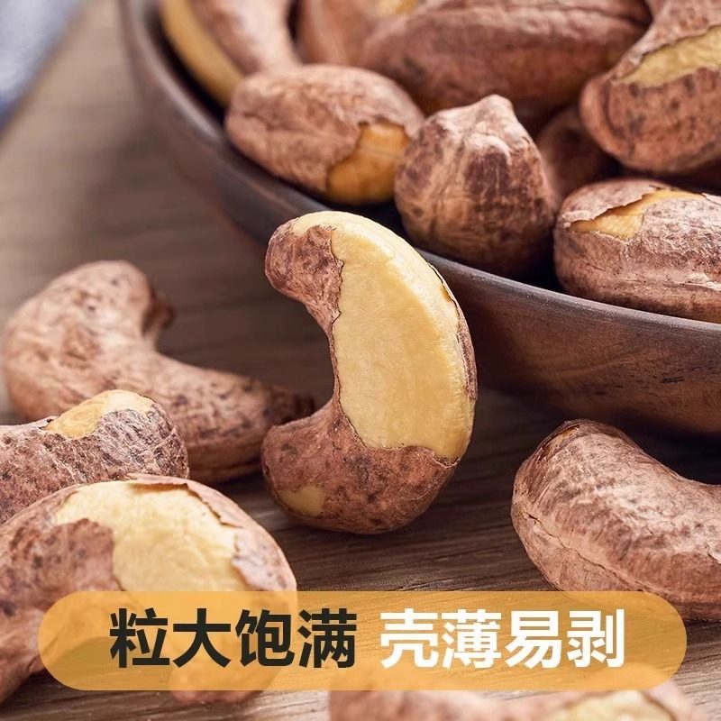 Cashew nuts with leather wholesale large particles bulk original flavor salt baked cashew nuts Vietnam specialty casual snack factory delivery