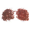 Dried Cranberry bulk 500g snowflake crisp cookies preserved preserved fruit baking raw materials fresh red dried fruit