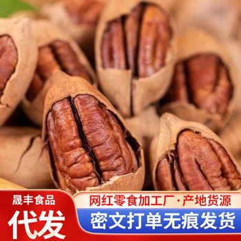 Pecan Flavored Thin-Skinned Large Kernels Bagged 500g Nuts New Year Snacks Pecan Nutty Milk Flavor Hot Item