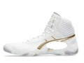 Wrestling shoes-platinum