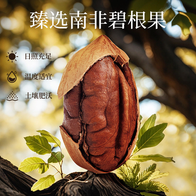 Premium South African Pecans 430g Canned Nuts for Pregnant Women Office Snacks