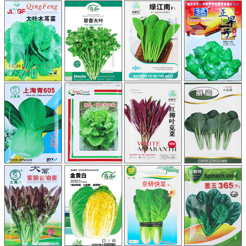 Wholesale Four-Season Leafy Vegetable Seeds, Coriander, Cabbage, Radish, Rapeseed, Lettuce, Green Vegetable Seeds, Spinach