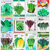 Wholesale Four-Season Leafy Vegetable Seeds, Coriander, Cabbage, Radish, Rapeseed, Lettuce, Green Vegetable Seeds, Spinach