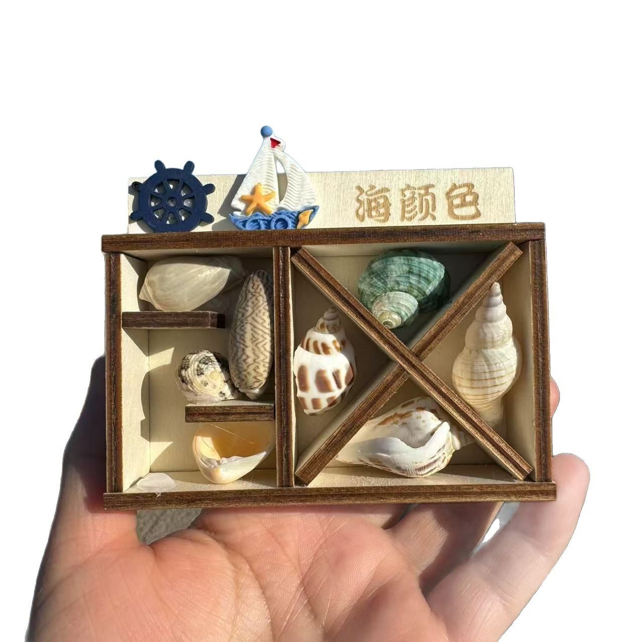 Natural Conch Shell Refrigerator Stickers Souvenir Features DIY Wenchuang Seaside Gift Jewelry Crafts Mediterranean