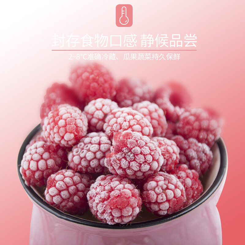 TCL三门冰箱家用节能安静软冷冻小型电冰箱非变频215升BCD-215TC