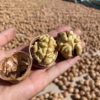 Xinjiang 185 paper walnut new goods bulk 500 g/bag thin shell original flavor pregnant women thin skin thin walnut wholesale