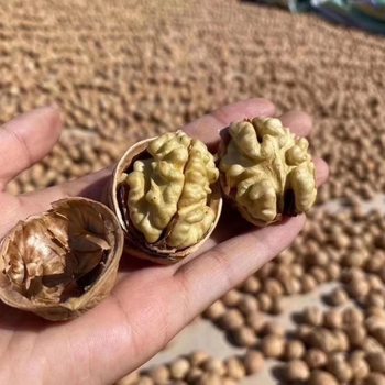 Xinjiang 185 paper walnut new goods bulk 500 g/bag thin shell original flavor pregnant women thin skin thin walnut wholesale
