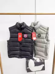 Cross-Border Foreign Trade Supply: Classic Glossy Cotton Vest, Puffer Vest, Men's and Women's Warm Vest