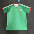 Algeria away game