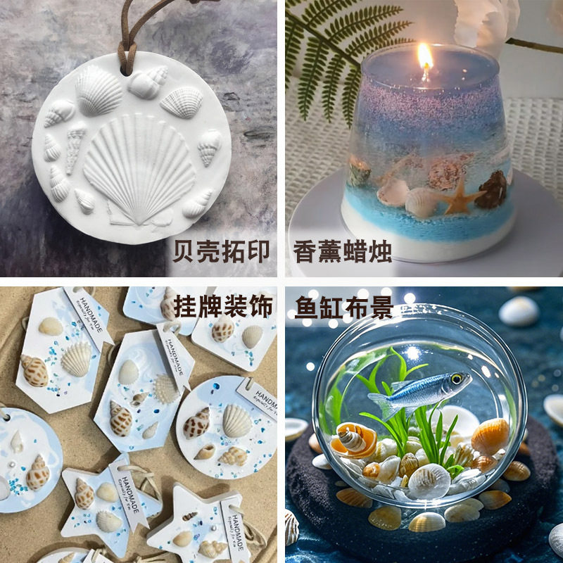Boxed Natural Shell Small Conch Small Starfish Mixed Material Bag Handmade DIY Jewelry Aromatherapy Candle Wax Pieces