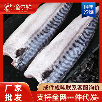 New Arrivals, Fresh Mackerel, Fresh Mackerel, Mackerel Fillets, Fresh Mackerel, Grilled Mackerel, Ready-To-Eat, Free Shipping, 5 Pieces