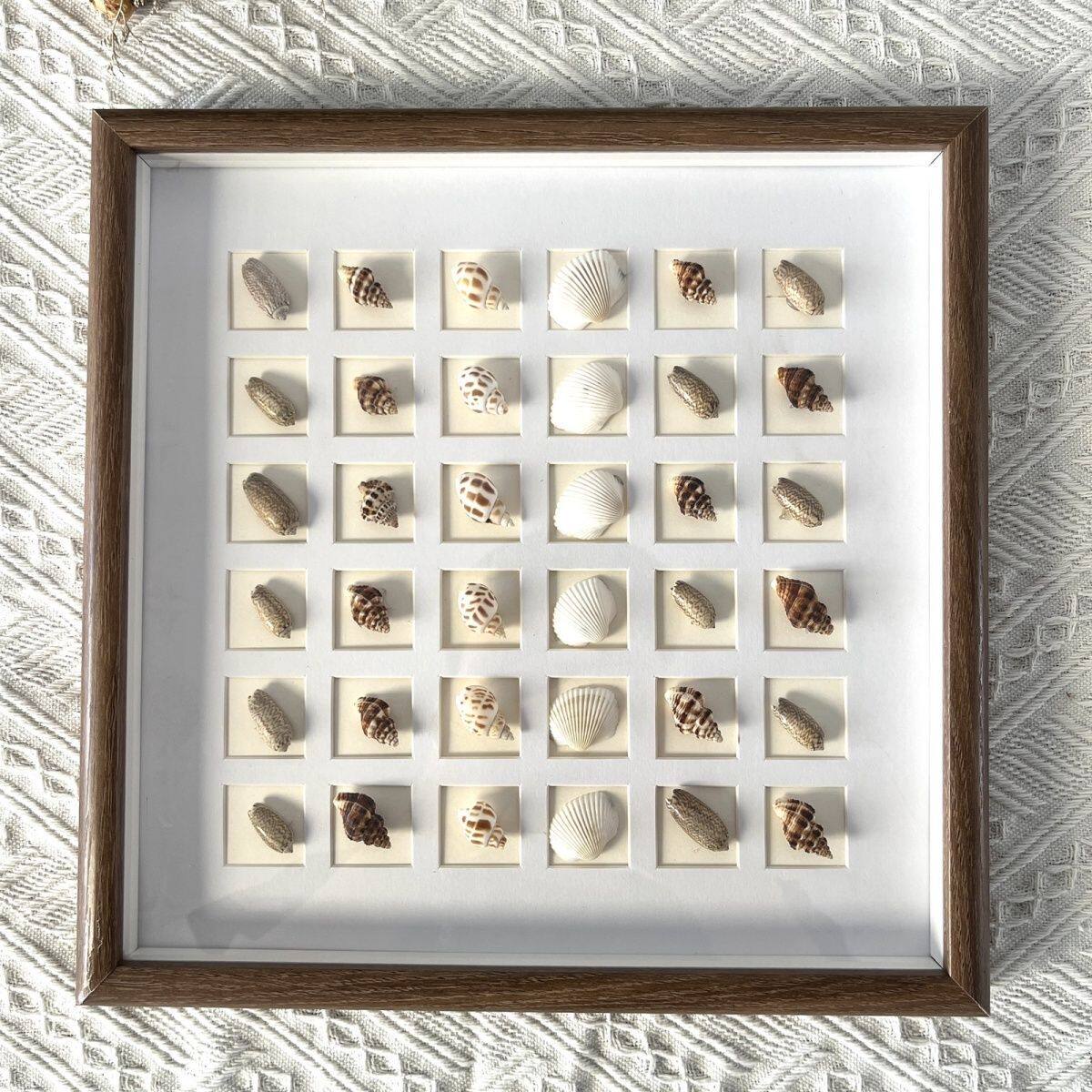 Three-Dimensional Hollow Photo Frame Seaside Shell Conch DIY Specimen Dried Flower Table Creative Handmade Gift Commemorative Photo Frame