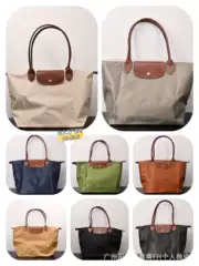 Longchamp Handbag Le Pliage