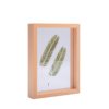 A4 Creative Photo Frame Table Stereo Hollow 6-Inch 7-Punch-Free Double-Sided Glass Plant Specimen Frame Picture Frame