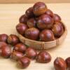2025 New Chestnuts Fresh Sweet Soft Glutinous Large Dandong Chestnuts Wild Hairy Chestnuts Wholesale Free Shipping Warehouse