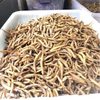 Dried Loach Exhibition Stall E-Commerce Wanguihu Fried Dried Loach Dried Loach Powder-Free Dried Loach Dried Fish Dried Fish