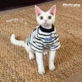 Зимняя утолщенная теплая флисовая одежда для кошек, одежда для безволосых кошек Fink, осенние и зимние котята, немецкие кошки, одежда для кошек