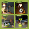 Spot Cartoon Rechargeable Desk Lamp Learning Led Panda Desk Lamp Creative Dormitory Student Desk Lamp Night Light Wholesale