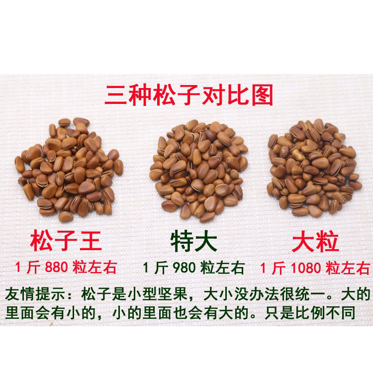 November New Northeast Open Pine Nut 5kg Wang Grade Large Wild Red Pine Nut Roasted Goods 10kg Batch