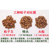 November New Northeast Open Pine Nut 5kg Wang Grade Large Wild Red Pine Nut Roasted Goods 10kg Batch