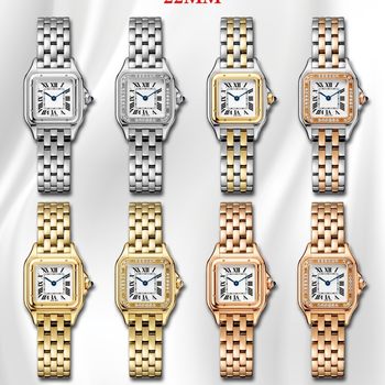 Bv Cross-Border Cheetah Women's Watch with Square Dial, Roman Numerals, Fashionable and Elegant, Light Luxury, Waterproof Quartz Watch