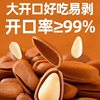 2024 New Large-Capacity Open Pine Nuts Non-Specialty Grade Extra Large Northeast Pine Nut Kernels Nut Snacks Wholesale Roasted Seeds