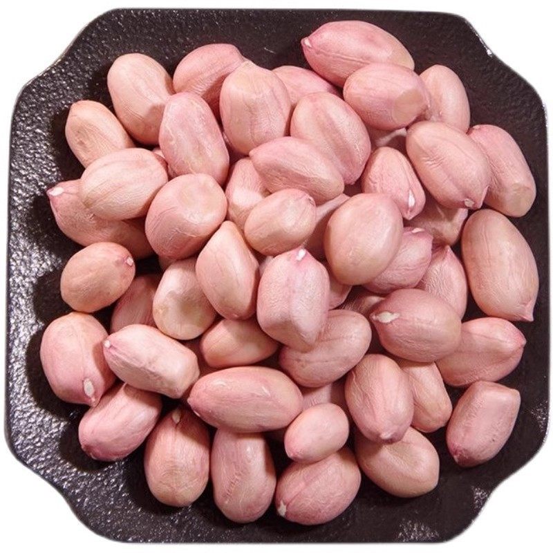 Plump Large Peanuts with White Skin, Young Peanuts from Shiba Farm, Fresh 24 Shiba Large Peanuts, New Stock