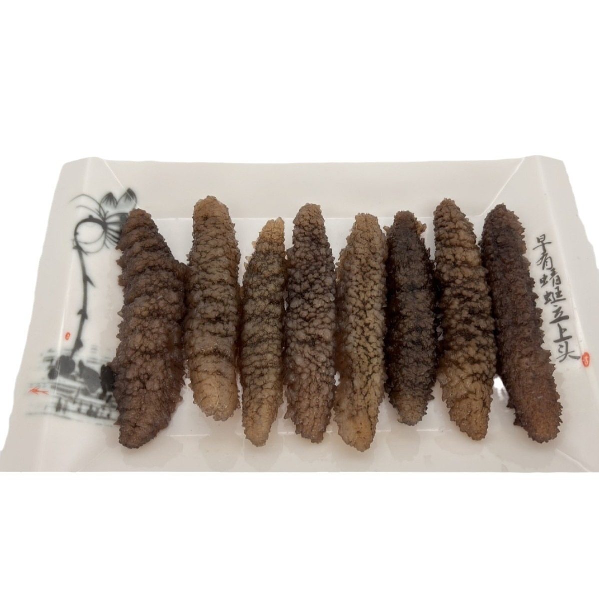 Spiny Sea Cucumber, Ready-To-Eat Sea Cucumber, Hotel Ingredients, Spiny Sea Cucumber, Non-Dried Sea Cucumber, Wholesale from Sea Cucumber Manufacturer, Frozen 500g