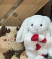 Christmas bunny with a cane