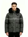 grey(black fur)