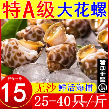 Fresh Live Large Conch Snail Seafood Frozen Dongfeng Snail Large Flower Snail Shellfish