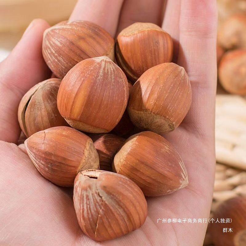 Northeast Wild Hazelnuts New Arrival Bagged Original Thin-Skinned Nut Snacks for Pregnant Women Wholesale Price Liling Specialty Hazelnuts