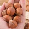 Northeast Wild Hazelnuts New Arrival Bagged Original Thin-Skinned Nut Snacks for Pregnant Women Wholesale Price Liling Specialty Hazelnuts