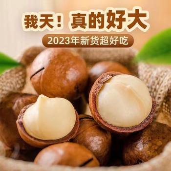 2025 New Arrival Macadamia Nut Creamy Dried Fruit New Year Gift Box Nuts Bulk Weighing Snacks Whole Box Wholesale