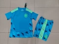 26-27 argentina goalkeeper blue