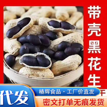 Yunnan Selenium-Rich Black Peanuts with Shells, Purple-Coated Original Peanuts, Black-Coated Stomach-Nourishing Special Black-Skinned Healthy Snacks
