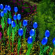 LED simulation outdoor waterproof tulip lamp floor lamp courtyard decorative landscape lamp blue red yellow powder IP65 wholesale