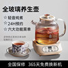 New All-Glass Health Pot Stewing All-In-One Smart Teapot Office Thermostatic Kettle Household Small Kettle