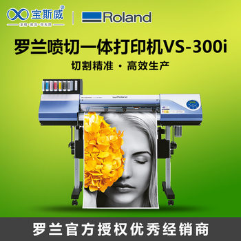 Roland Vsi Series Spray and Engraving All-In-One Machine Vs-300I Jersey Hat Uniform Heat Transfer Roland Printer