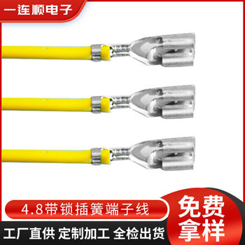 Processing 250/187 Switch Spring Wire 4.8 with Lock Spring Terminal Wire 6.3/2.8 Spring Connection Wire Customization