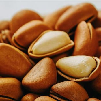 Wholesale Northeastern Red Pine Nut Processing Factory Snack Factory Pine Nut Processing Custom Packaging Source Factory