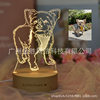 Cross-Border Drawing Portrait 3D Night Light Valentine's Day Photo Pet Company Advertising Wedding Gift Halloween Ornaments