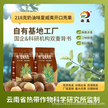 Yunken Macadamia Nut Shell Fruit 158g Source Factory Spot Wholesale Original Flavor Large Quantity and Excellent Price New Goods Available
