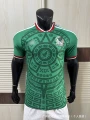 26-27 mexico home game