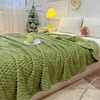 New Golden Turtle Velvet Blanket Car Office Air Conditioning Blanket Nap Warm Flannel Milk Velvet High Weight Blanket