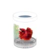 New Isolation Box Transparent Hatching Box Guppy Isolation Suspended Fry Nursery Fish Fry Suspended Floating Hatching