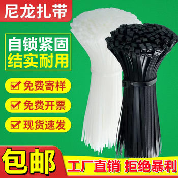 Source factory direct self-locking cable ties strong and durable crafts binding plastic cable ties