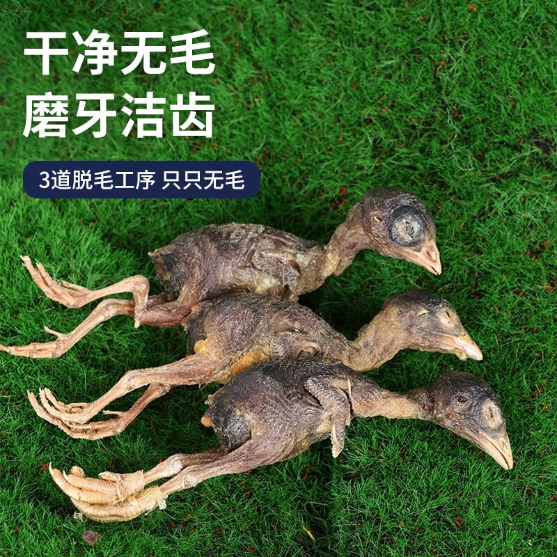 Freeze-Dried Quail Snacks for Young Cats and Dogs, Teething Snacks, Nutritious Supplements for Weight Gain and Gills, Pet Food, Ginseng Fruit