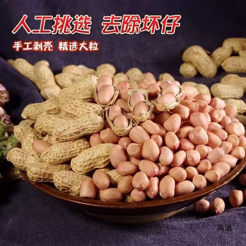 Seasonal Fresh Peanuts on Sale, Freshly Shelled New Peanuts, New Stock with Skin, Fresh Large Kernels, Oil Extraction, White Packaging, Free Shipping