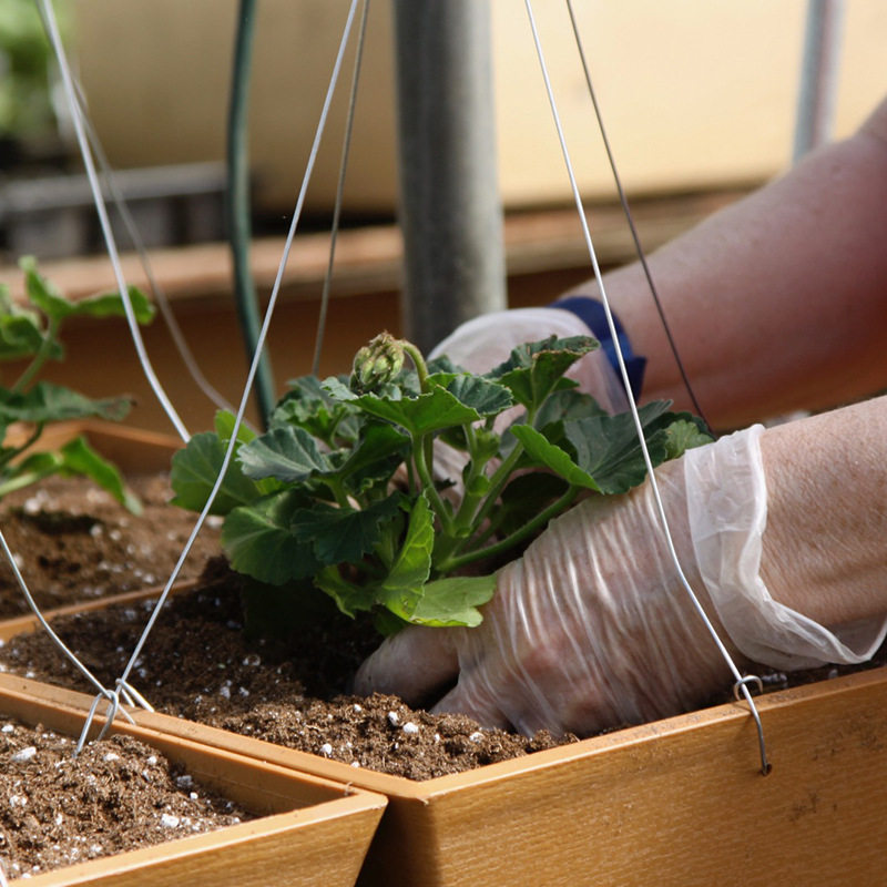 Usijing food grade disposable PVC gloves film thickened baking dining kitchen beauty transparent family